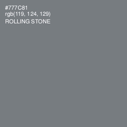 #777C81 - Rolling Stone Color Image